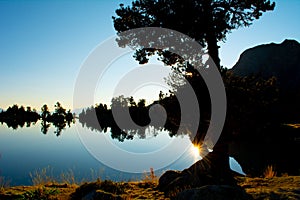 Sunset silhouette of trees and lake in natural enviornment, blue sky, reflections of landscape
