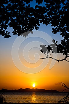 Sunset silhouette2