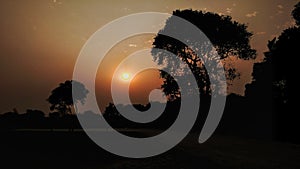 Sunset , silhouetted , tree