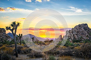 Sunset skies at Joshua Tree National Park in Joshua Tree, California