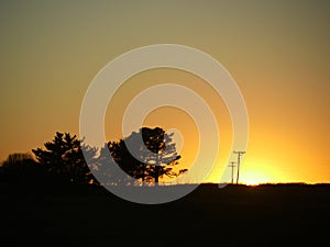 Sunset skies with trees and power posts silhouttes