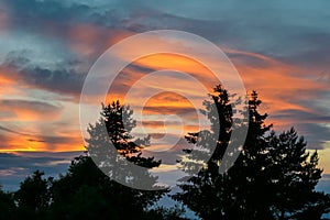 Petzen - Sunset sky with clouds in the background and silhouette of trees in the foreground. The sky has vibrant orange pink color photo