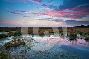 Sunset sky over bog