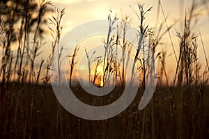 Sunset sky over a hilltop in The Drakensberg South Africa