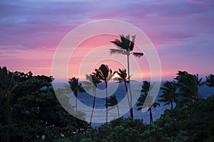 Sunset Sky over Ocean with Sun on Horizon and Palm Trees Silhouette in Foreground