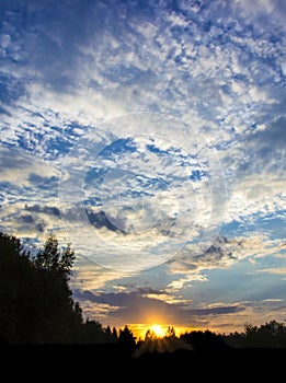 Sunset sky setting sun beautiful clouds forest frame