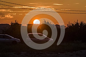 Sunset sky with silhouettes of plants and trees in the background