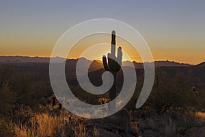 Sunset Sky with Vibrant Colors behind Saguaro Cactus