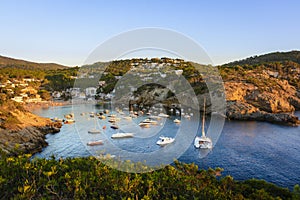 Sunset in the small bay of Cala Vedella, Ibiza island. photo