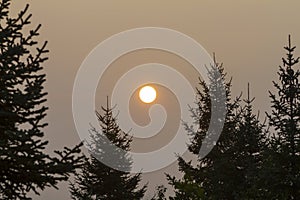 Sunset in a smoky summer afternoon