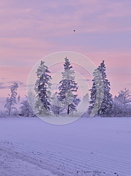 After sunset in snowy wintertime