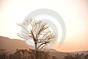 Sunset South Africa Kruger National Park
