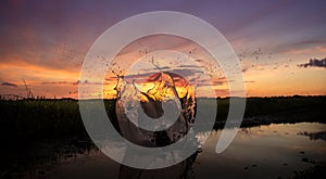 Sunset splash
