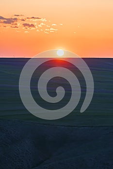 Sunset in the spring fields