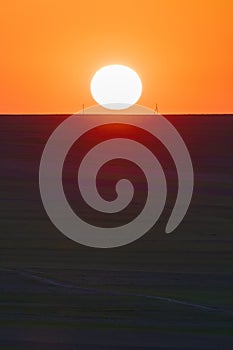 Sunset in the spring fields