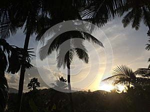 sunset srilanka tropical zone