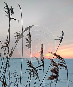 Sunset in the steppe in winter.