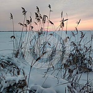 Sunset in the steppe in winter.