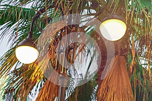 Sunset, street lamp and palm trees in a park