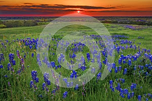 Sunset on Sugar Ridge Road, Ennis, TX