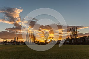 Sunset, sun setting behind trees countryside, grassland