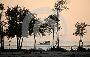 Sunset in the Sundarbans