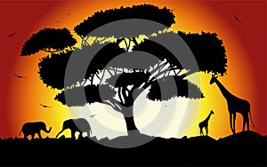 Sunset or Sunrise in Africa with the silhouettes of trees, grass, flying birds, elephants, giraffes, national home and native. The