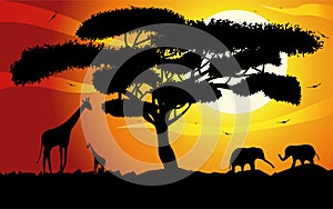 Sunset or Sunrise in Africa with the silhouettes of trees, grass, flying birds, elephants, giraffes, national home and native. The