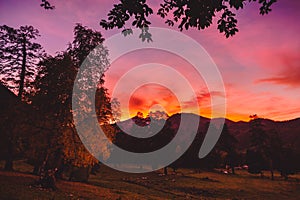 Sunset or sunrise behind tree in the forest with sky and mountains