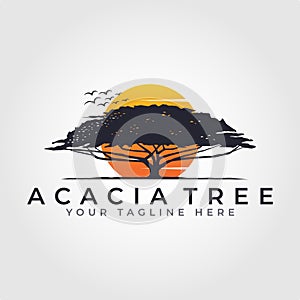 sunset sunrise in the forest logo design. acacia tree vector logo design