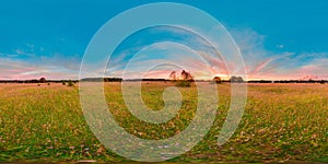 Sunset or sunrise in the green field with blue sky with pink color. 3D spherical panorama with 360 viewing angle. Ready for virtua photo