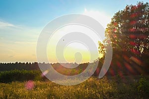 Sunset sunrise over field or meadow. Bright dramatic sky and dark ground. Countryside landscape under scenic colorful