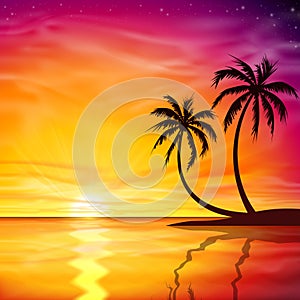 Sunset, Sunrise with Palm Trees
