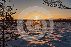 Sunset or sunrise in a snowy swamp