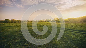 Sunset or sunrise in a spring field with green grass, willows, mist and a cloudy sky. Springtime landscape. Vintage film