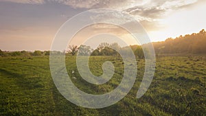 Sunset or sunrise in a spring field with green grass, willows, mist and a cloudy sky. Springtime landscape. Vintage film