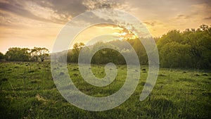 Sunset or sunrise in a spring field with green grass, willows, mist and a cloudy sky. Springtime landscape. Vintage film