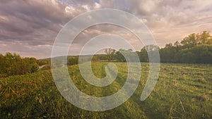 Sunset or sunrise in a spring field with green grass, willows, mist and a cloudy sky. Springtime landscape. Vintage film