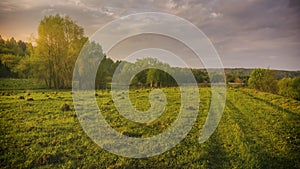 Sunset or sunrise in a spring field with green grass, willows, mist and a cloudy sky. Springtime landscape. Vintage film