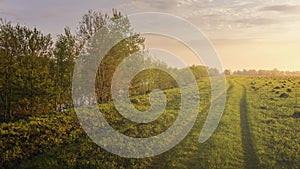 Sunset or sunrise in a spring field with green grass, willows, mist and a cloudy sky. Springtime landscape. Vintage film