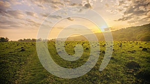 Sunset or sunrise in a spring field with green grass, willows, mist and a cloudy sky. Springtime landscape. Vintage film