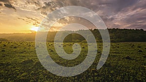 Sunset or sunrise in a spring field with green grass, willows, mist and a cloudy sky. Springtime landscape. Vintage film