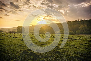 Sunset or sunrise in a spring field with green grass, willows, mist and a cloudy sky. Springtime landscape. Vintage film