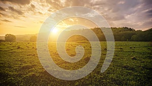 Sunset or sunrise in a spring field with green grass, willows, mist and a cloudy sky. Springtime landscape. Vintage film