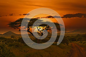 Sunset and sunrise in the Tsavo East and Tsavo West National Park