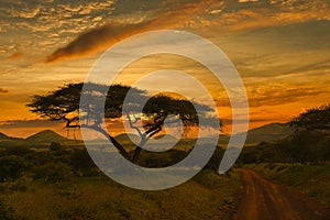 Sunset and sunrise in the Tsavo East and Tsavo West National Park