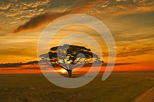 Sunset and sunrise in the Tsavo East and Tsavo West National Park