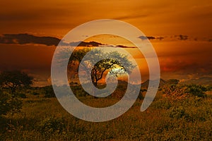 Sunset and sunrise in the Tsavo East and Tsavo West National Park