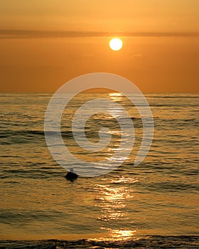 Sunset Surfer I