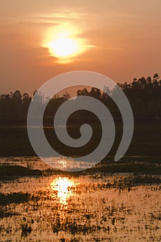 Sunset on swamp in Terai, Bardia, Nepal